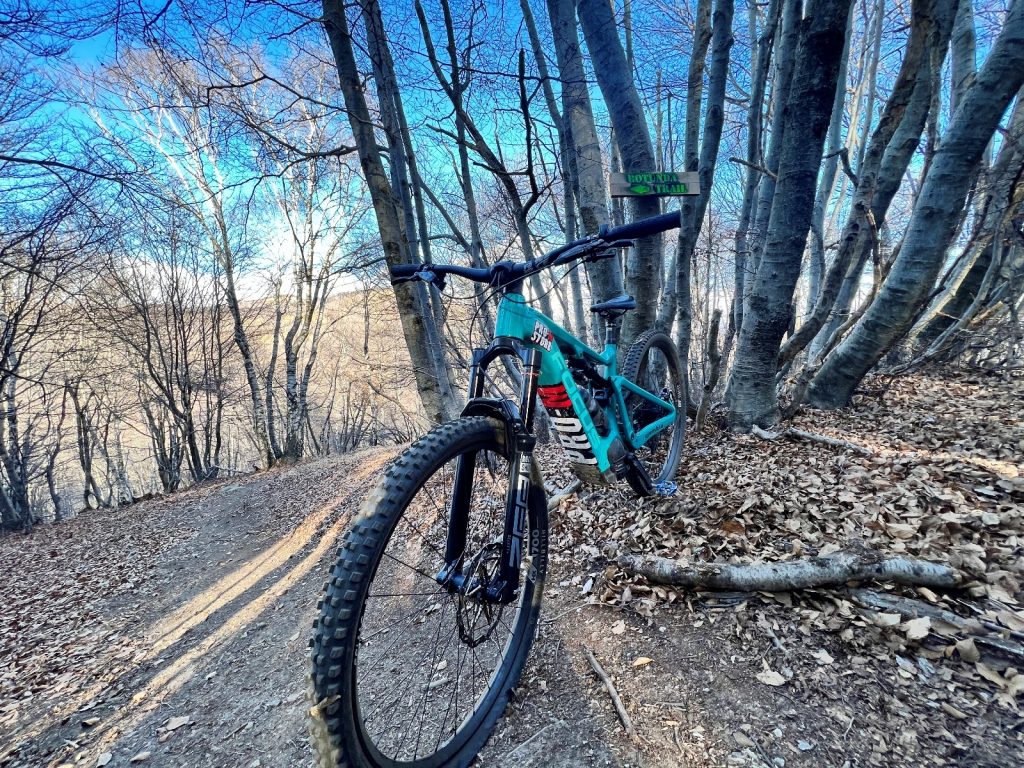 pro am bike