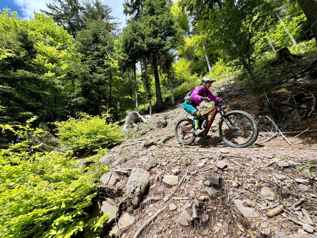 Pro m mtb road bikes blog archive 10 pro m mtb road bikes